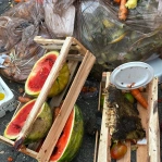 Food Waste